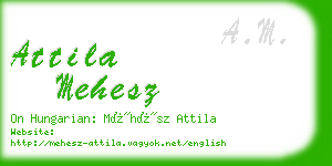 attila mehesz business card